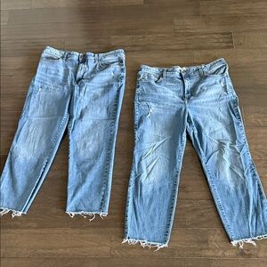 LC Lauren Conrad BUNDLE OF 2-JEANS Distressed Light Blue Jeans Size 18W